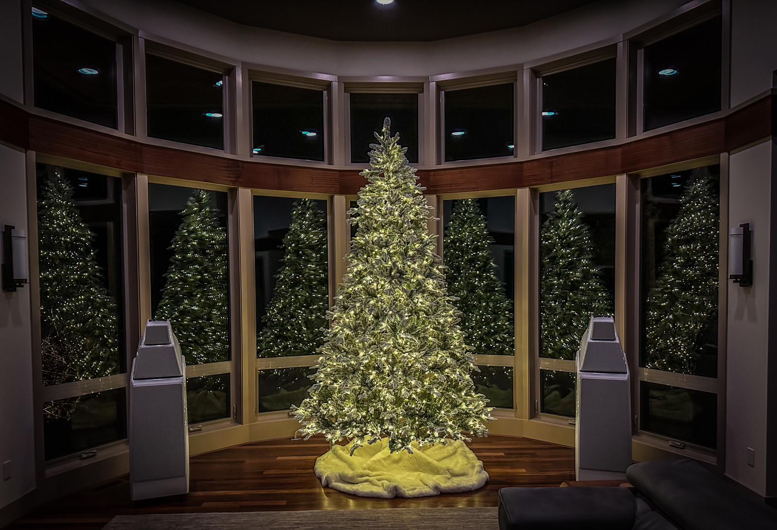 Let's Remember the Why