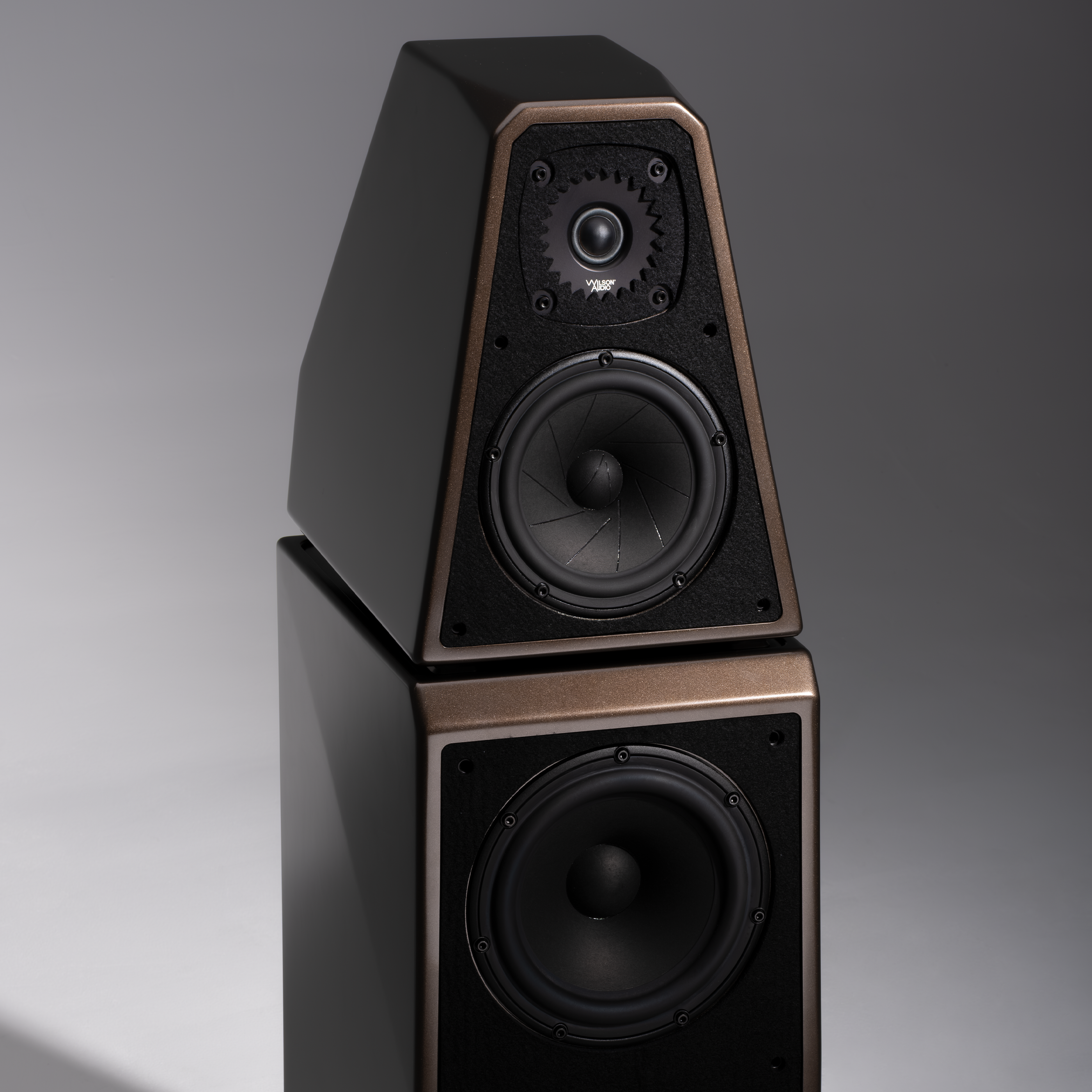 Wilson Audio The WATT/Puppy
