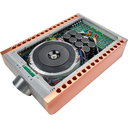 Dan D'Agostino Momentum S250 MxV Stereo Amplifier