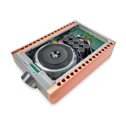 Dan D'Agostino Momentum S250 MxV Stereo Amplifier