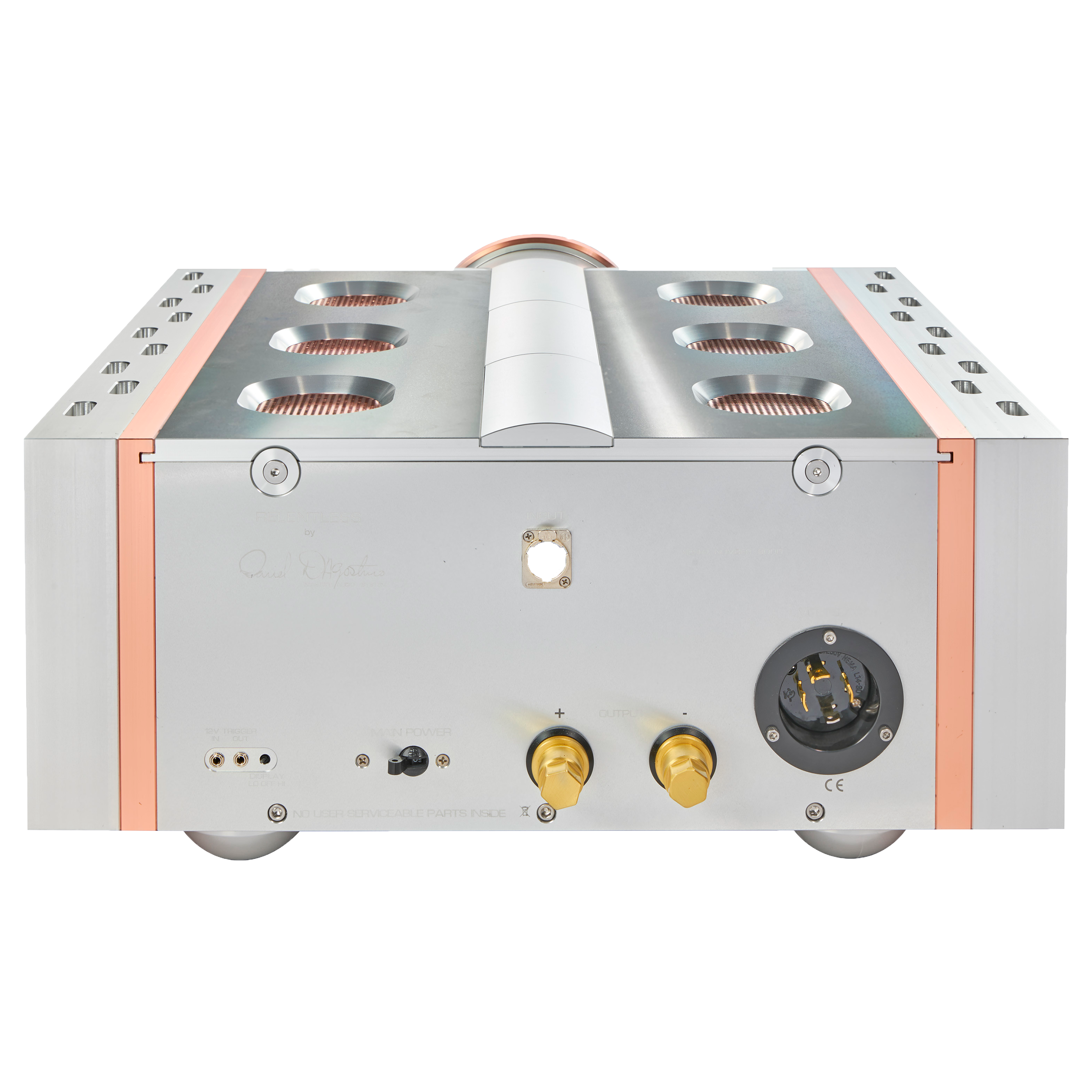 Dan D'Agostino Relentless 800 Mono Amplifier