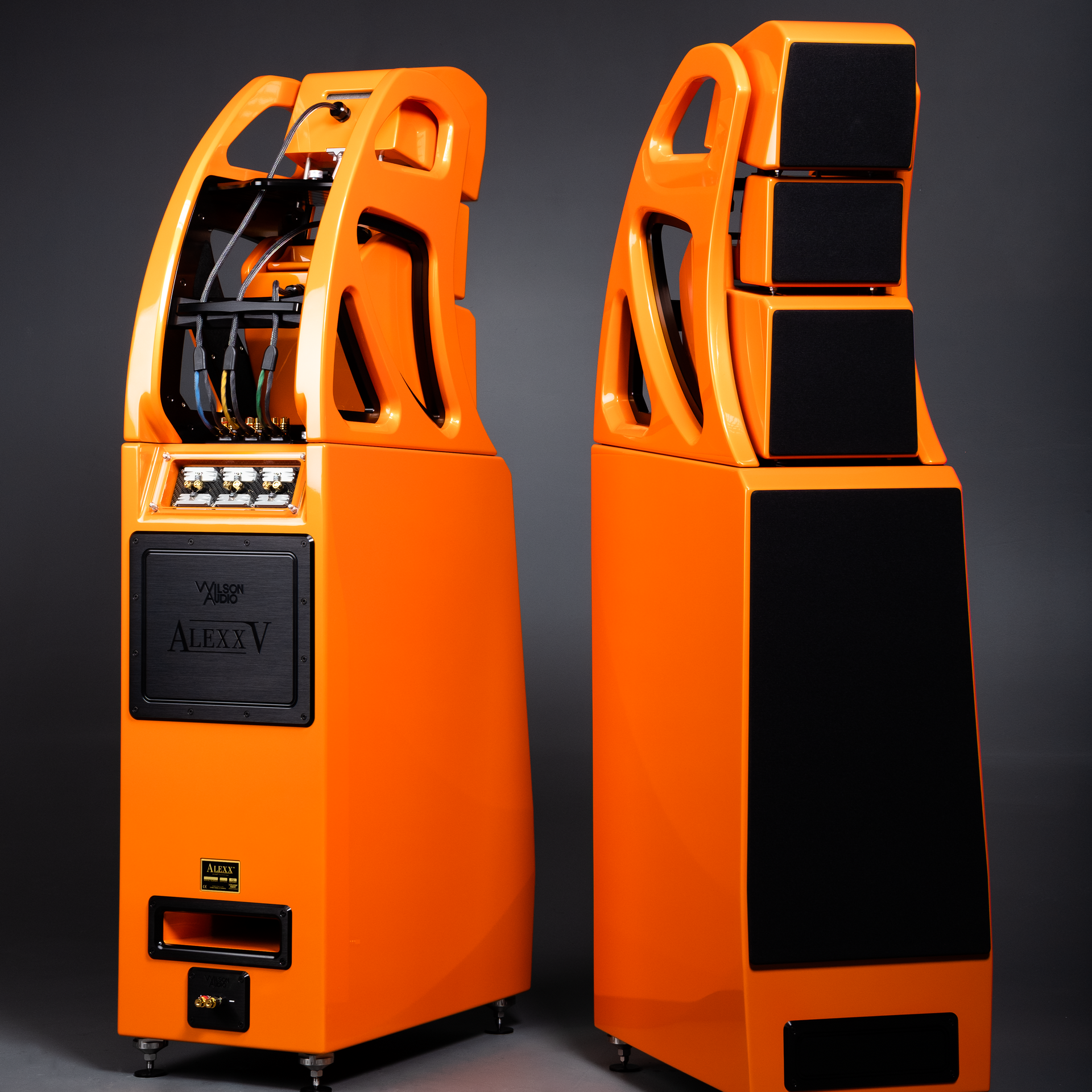 Wilson Audio Alexx V – Definitive Audio