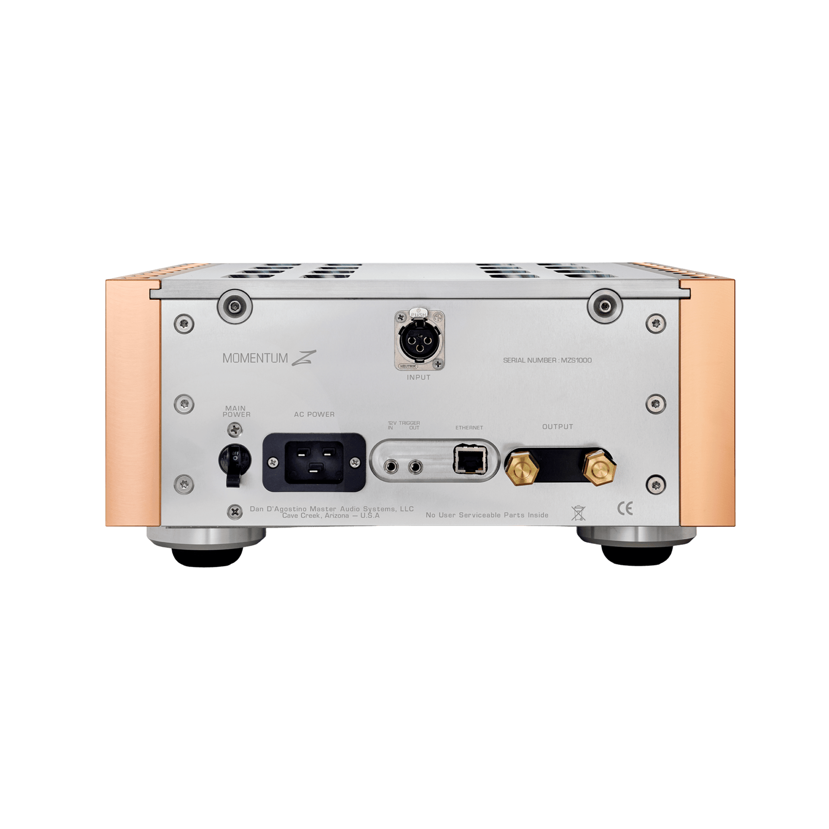 Momentum Z Monoblock Amplifier