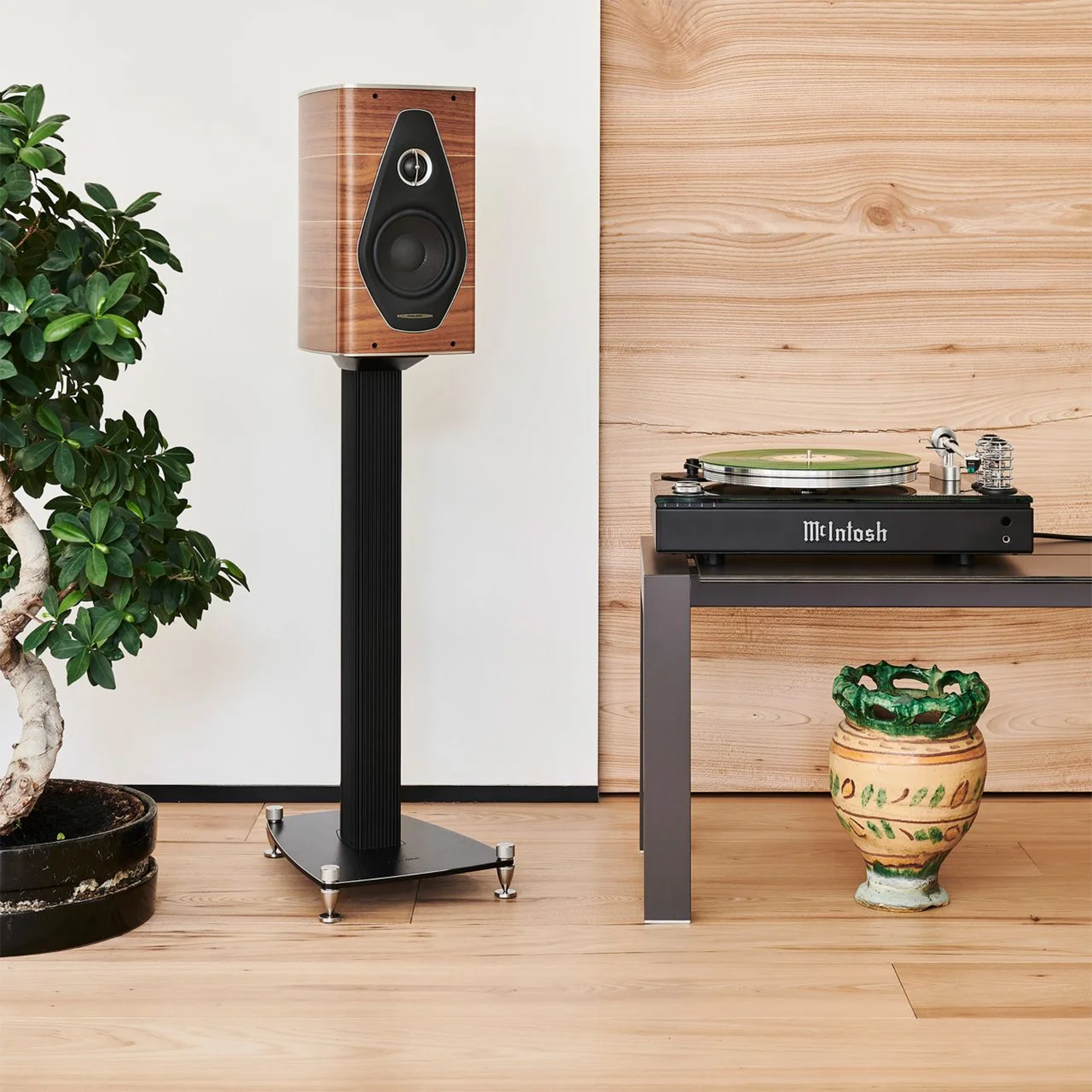 Sonus Faber Olympica Nova I Bookshelf Speaker