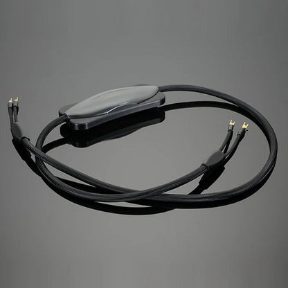 Transparent Reference Speaker Cable