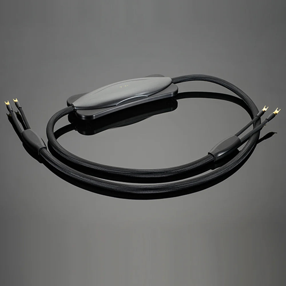 Transparent XL Speaker Cable