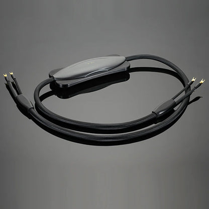 Transparent XL Speaker Cable